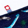 COLORFUL CANDY STYLE Loop Towels for Set of Dinosaur N8503220 Boys, Imabari, Kindergarten, Daycare, 2, "Discover! Explore! Continent" (Navy)