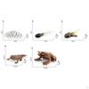 Life Cycle Animal Figures Toy Animals Cognitive Playset Science Frogs Model for