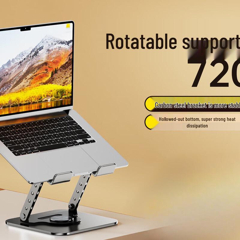 OLOEY Adjustable Metal Laptop and Tablet Stand