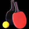 TESIEN Professional 6-Star Table Tennis Racket Set