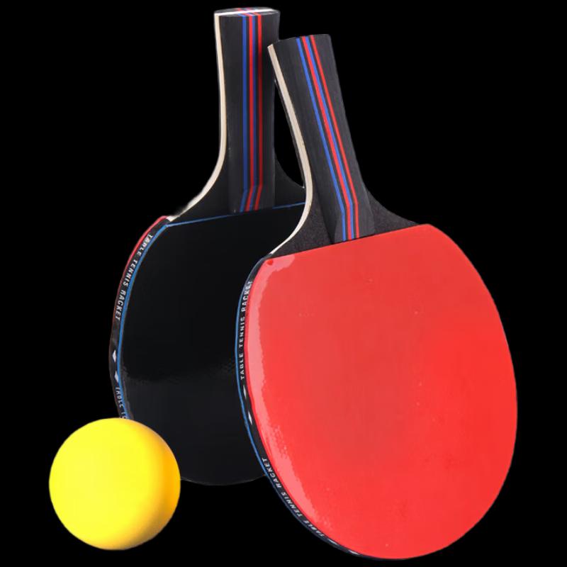 TESIEN Professional 6-Star Table Tennis Racket Set