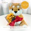 Shiba Inu Plush Toy Holding a Sunflower Cute Animal Artificial Summer Birthday Soothing Artificial Flower Shiba Inu Plush W160 x D190 x Mame Lulu's