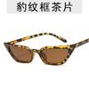 Fashion Sunglasses Woman Brand Designer Vintage Retro Triangular Cat Eye Glasses  Transparent Ocean UV400