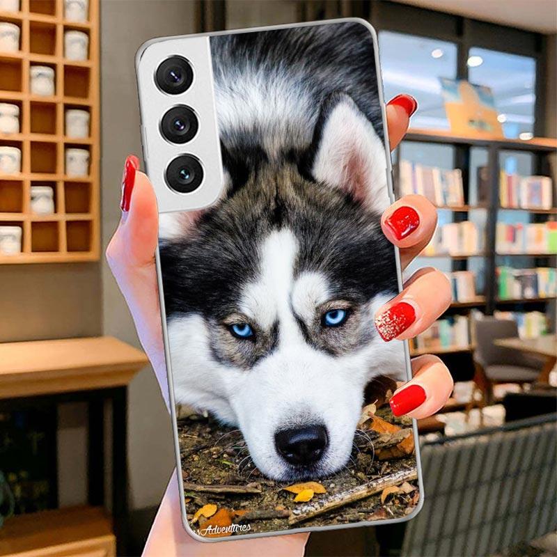 Siberian Husky Dog Cover Phone Case For Samsung Galaxy S26 S25 Edge S24 Ultra S23 S22 Plus S21 S20 FE Soft Fundas Shell Galaxy S