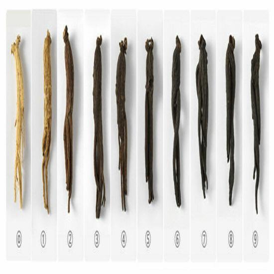 Korean Black Honey, Ginseng Root, Sliced, 20g X 10 Pack - Ginseng Cut