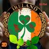 Vintage Ireland The Metal Tin Sign 8x8 Inch Wall Art, Irish Flag Retro Home Decor for Bar Pub Man Cave, Pub Metal Plaque Rustic