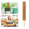 Coir Moss Pole Plant Support Coconut Shell Sturdy Pointed Bottom Coir Totem Pole
