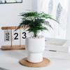 Flower Pot Self Watering Plastic Flowerpot Cotton Rope Watering Small Succulent Plant Pot Modern Decoration Home Bonsai Decor