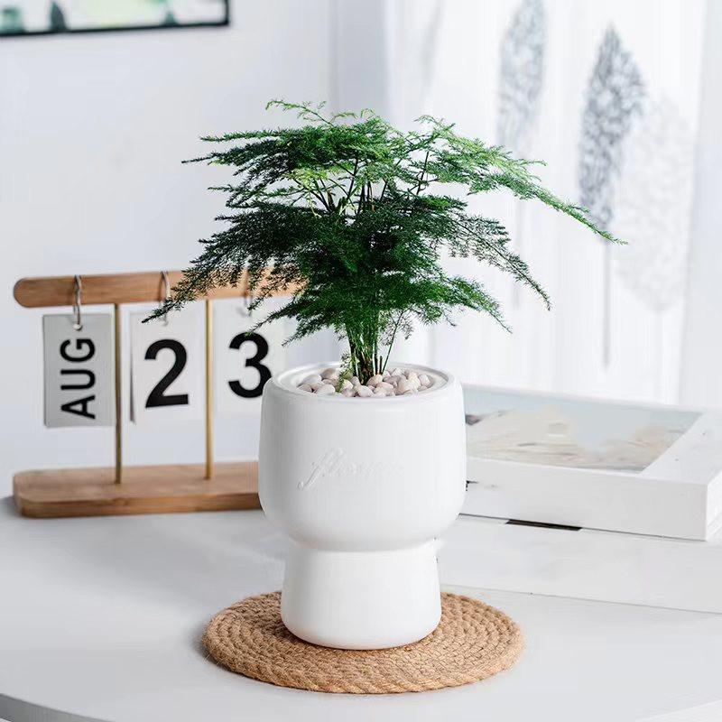 Flower Pot Self Watering Plastic Flowerpot Cotton Rope Watering Small Succulent Plant Pot Modern Decoration Home Bonsai Decor