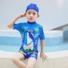 Kids' One-Piece Shark Swimsuit with Swim Cap - Korean Style, Quick-Dry, UV Protection for Boys In Small, Medium, and Large.