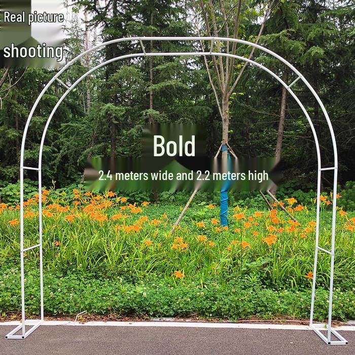 Junran European Style Courtyard Trellis for Climbing Plants and Roses