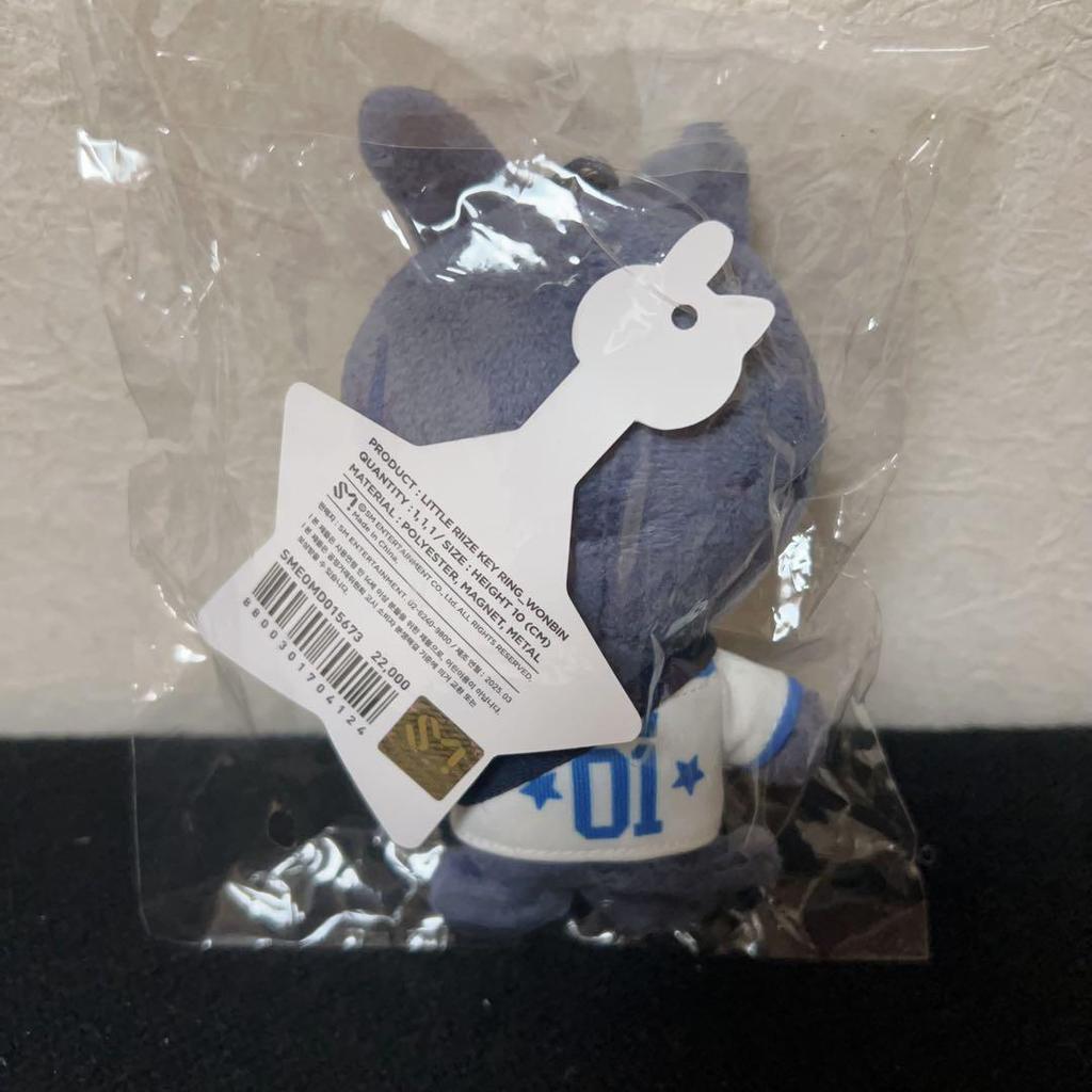 [USED] Riize Park Pop-up Plush Toy 10cm Won Bin and Donnyang Deok