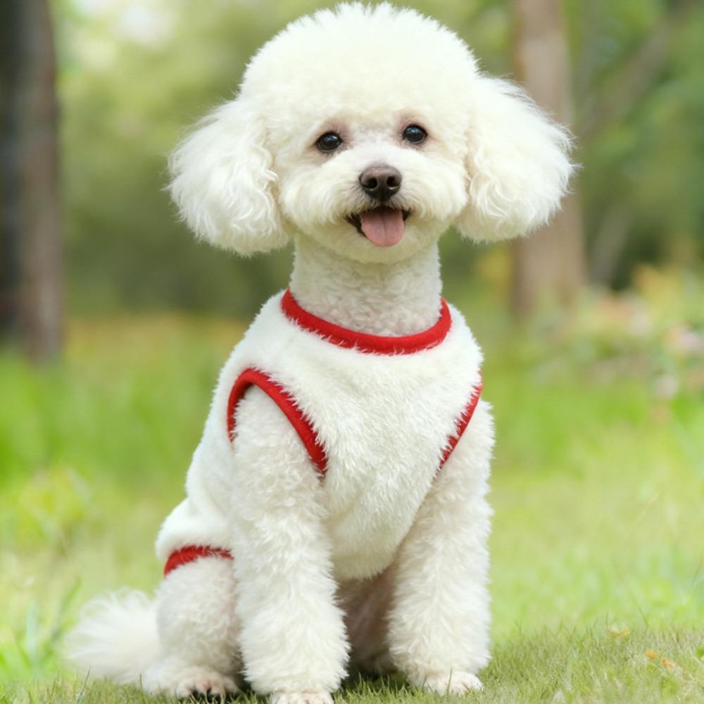 Cute Lion Pattern Winter/Autumn Pet Clothes Warm Cats Dogs Vest Comfortable Anti-shedding Pet Sweater Coat For Small Medium Pet