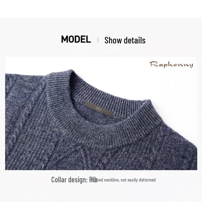 Raphenny Men's Casual Round Neck Wool Sweater AM817