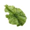 False PU DIY Kitchen Decor Artificial Realistic Vegetable Model   Lettuce Leaves Lettuce Adornment