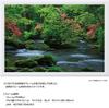 Yanoman [Made In Japan] 108-Piece Jigsaw Puzzle, Large Pieces, Japanese Landscape: The Refreshing Oirase Gorge, Aomori (26x38cm), 01-2086, Includes