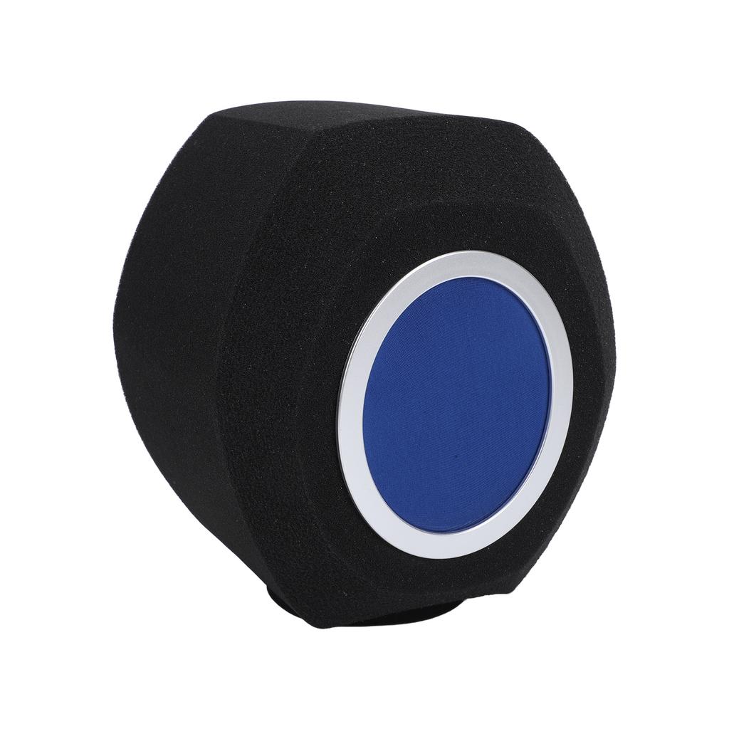 Portable Windscreen Foam Cover Professional Studio Acoustic Noise Reduction Mic Pop Filter for Condenser Dynamic