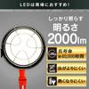 Iris Ohyama LDR18D-H Floodlight Replacement Bulb, IndoorOutdoor Use, Wide Beam, Daylight, E26 Base, 100V, 200W Equivalent