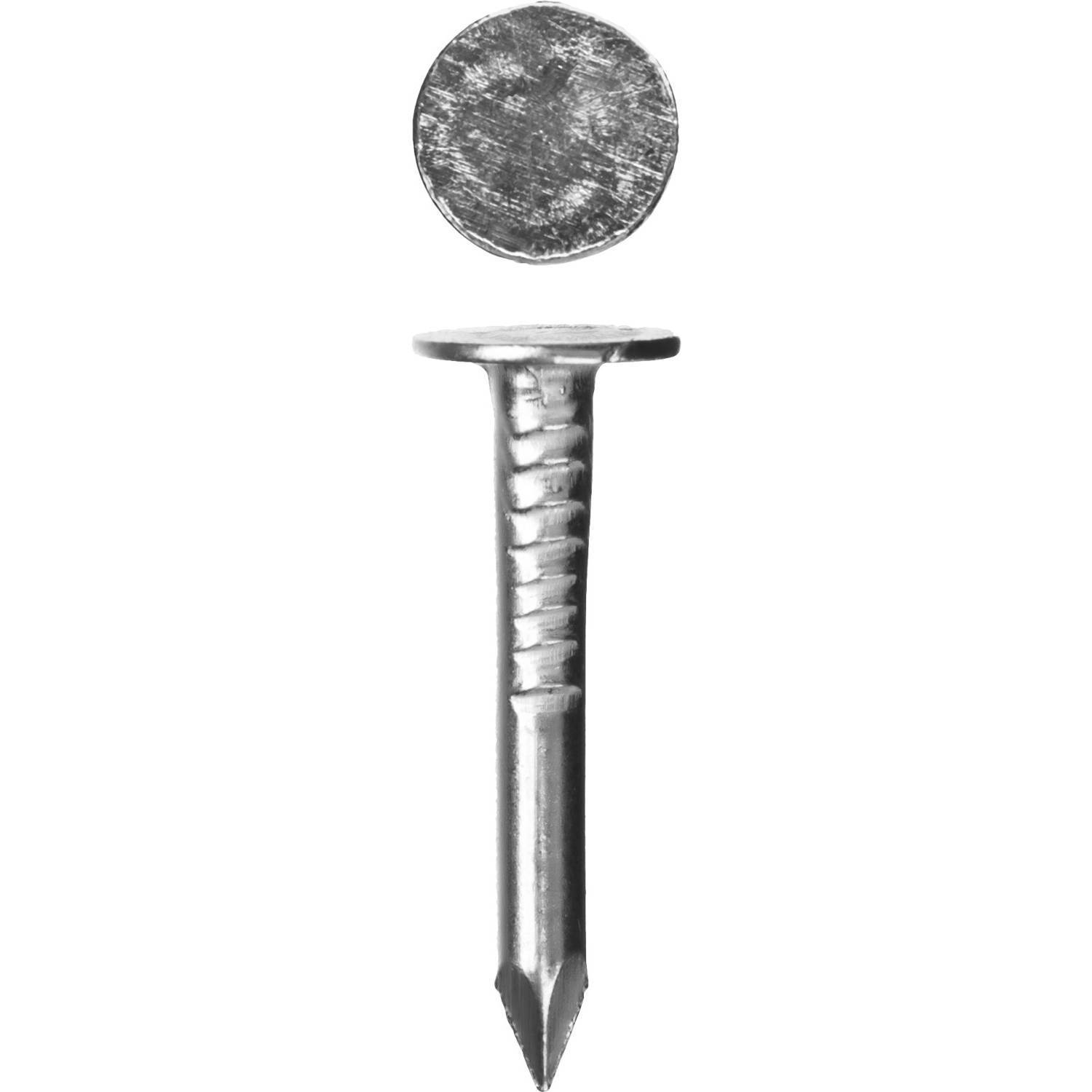 

Galvanized Nails Bison Master 305090-30-025 25 X 3 0 Mm 5 Kg