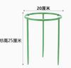 Indoor Plant , Climbing Plant Support Stick, Pole for Monstera Pothos, Growth Training Stake