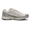 L47988000 Salomon XT-6 "Rainy Day/Paloma"FTW SILVER