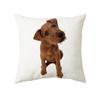 45x45cm Cute Cat Cushion Cover Polyester Throw Pillow For Bed Living Room Sofa Office Seat Car Kids  Decor Home