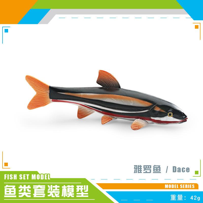 Realistic Plastic Fish Model Set Featuring Colorful Red Spot Salmon Piranha And Yarrow Fish