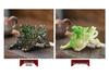 Zen Color-Changing Pixiu Tea Pet – Decorative Ornament for Tea Tray or Kung Fu Tea Set