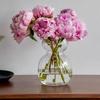 Europäischer Stil Einfache Transparente Glasvase Hydrokultur-Blumenvase Esstischdekoration Nordisches Wohnzimmer Heimdekoration