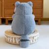 Cute Raccoon Plush Toys and Dolls Dolls Zoo Souvenirs Children's Sleeping Pillow