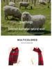 Korean Style Red Plaid Scarf: Cozy Winter Neck Warmer & Elegant Christmas Gift