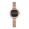 Niche High-End Women'S Watch, Simple Waterproof Stainless Steel Quartz Student Watch, Versatile Women'S Watch