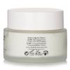 FLANERIE Antioxidizing Day Moisturizer SPF 20