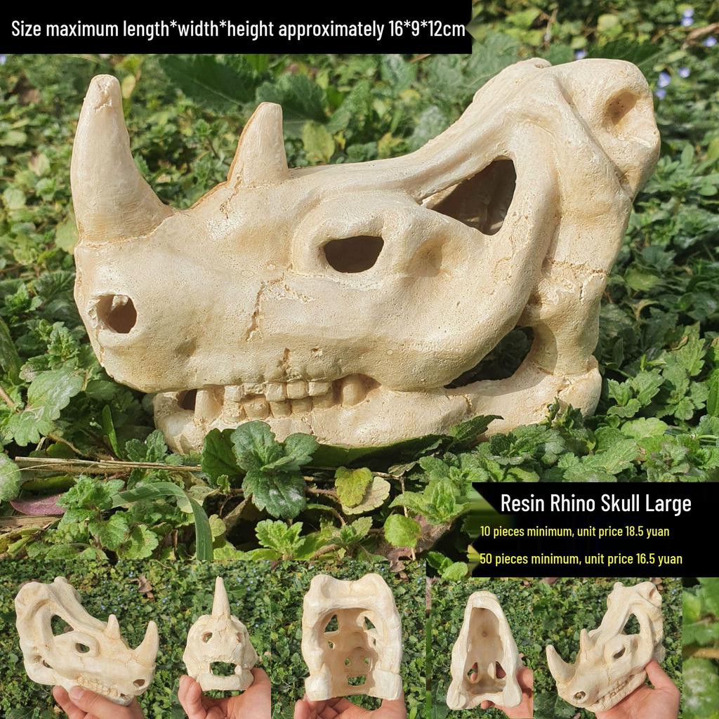 Akril Hüllőtenyésztő Doboz Dekoratív Koponyával