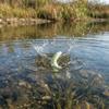 Morbidi Vermi Esca Artificiale da Pesca per Pesci d'Acqua Dolce Carpa Bream Bass Trota Panfish Attrezzatura da Pesca