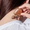 1pc Sandalwood Facial Massager for Eye & Nose Relief, Snail Shape Meridian Tool for Skincare, Relaxation, Beauty Care