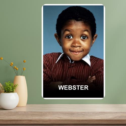 

Webster Classic TV Show Metal Poster Sign 20x30cm（7.8x11.8inch）
