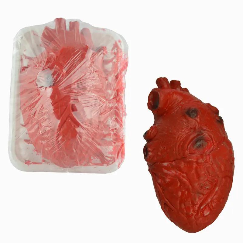 Horrifying Halloween Props Fake Bloody Heart Brain Rubber Organs for Party Decorations Human-Sized Torso & Bloody Body Parts