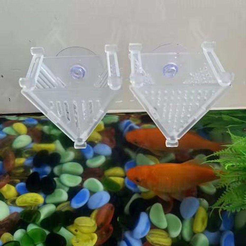 Mini Water Planting Cylinder Cup Acrylic Worm Funnel Cup Red Worms Plant Cup Water Planting