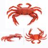 Educational Toy Scenes Making Sea Animal Figurine Red Crab Model Simulation Crabs Kids Cognition