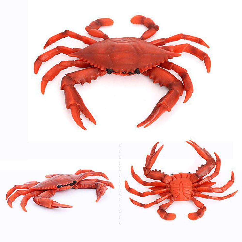 Educational Toy Scenes Making Sea Animal Figurine Red Crab Model Simulation Crabs Kids Cognition