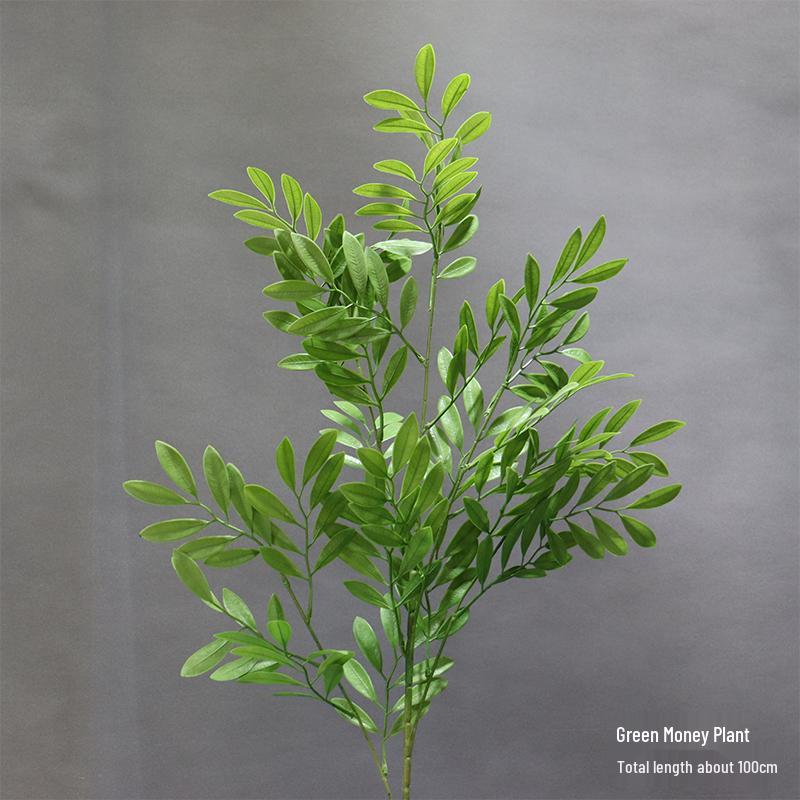 Asparagus Fern & Willow Buds Greenery for Wedding Decor & Landscaping