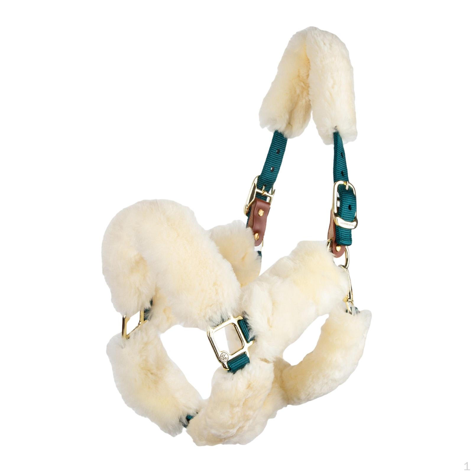 

Horse Harness Adjustable Equestrian Supplies Nylon Webbing Halter Rope L