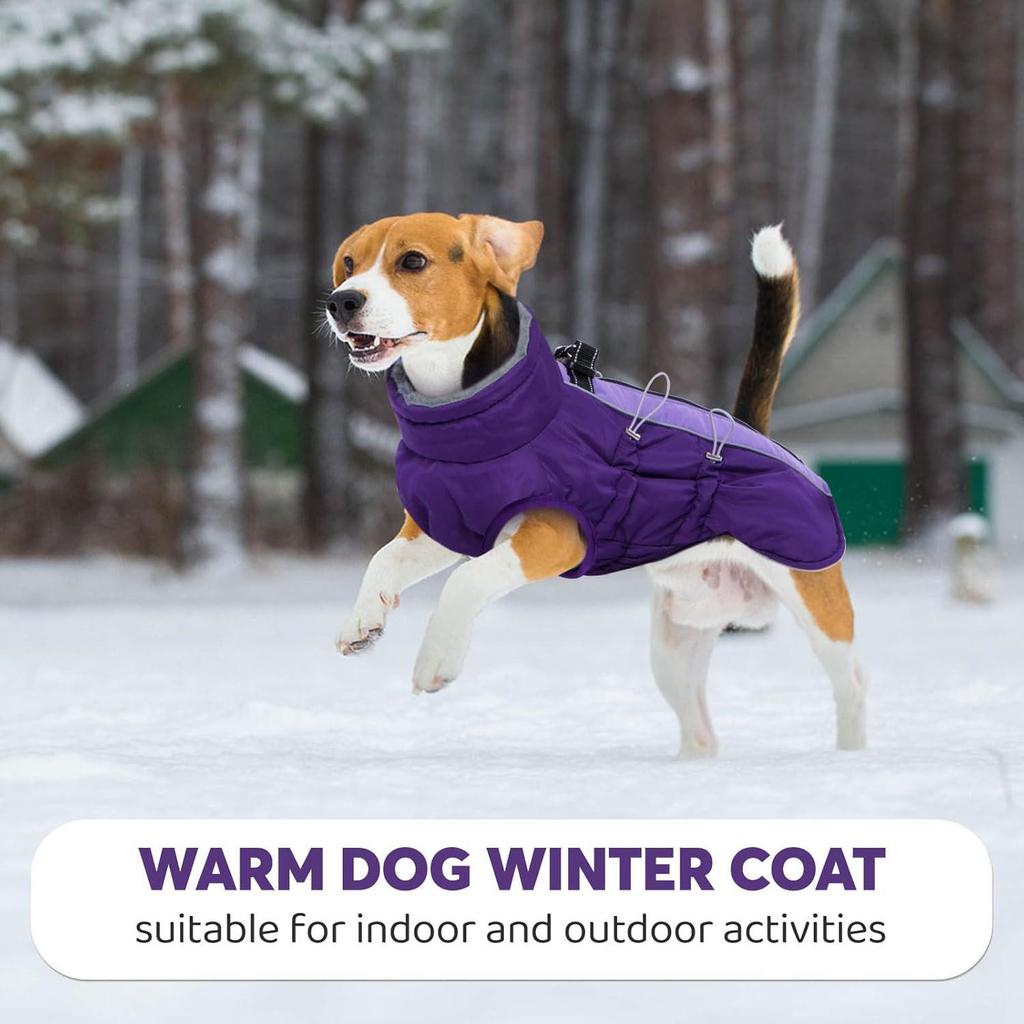 Russian Extreme Cold Waterproof Dog Coat - Windproof, Anti-freeze, Cotton Clothing for Large Dogs
