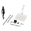 With Articulated Joints Sketching Painting Drawing Manikin Model Movable Joints Male Female Mannequin Poseable Figure