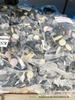Sortierte Universelle Türverkleidungsclips für Autos - Kunststoff-Spreiz- & Schraubclips, Mehrfarbig