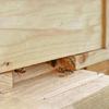 Bees Hives Entrance Reducer Beekeeping Tool Ventilation Control Safety Accessory Wooden Bees Supplies Maintain Warmth 12pcs