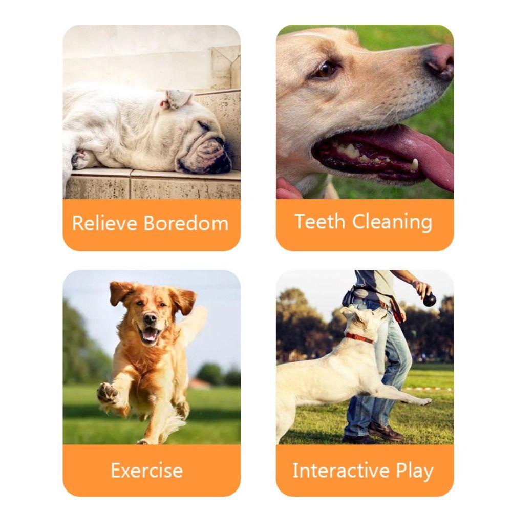 Relieve Boredom Dog Slow Feeder Ball Pet Tooth Cleaning Dog Chewing Toys Interactive Pet Toys  Dog