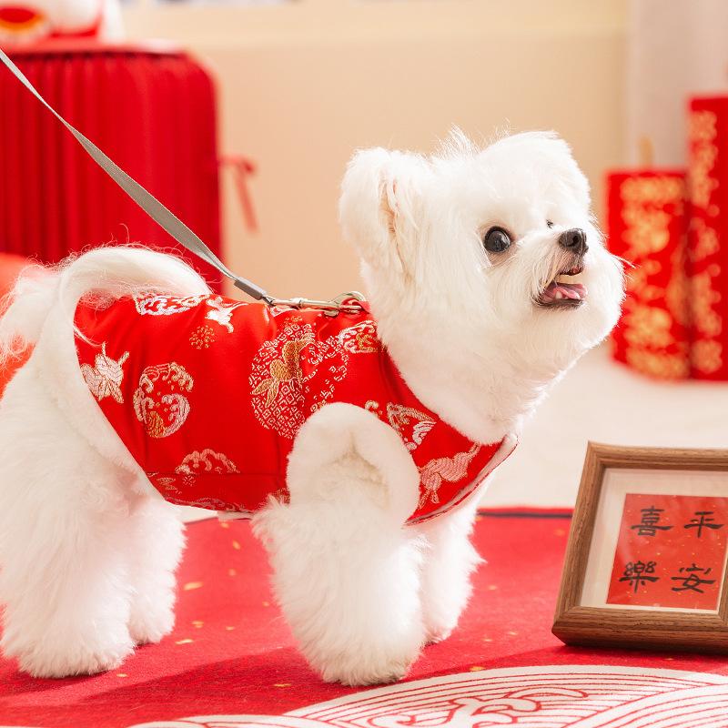 Pet clothing Teddy than bear kitten autumn and winter velvet Tang clothing festive Chinese New Year two-legged clothing dog clothes
