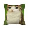 Cat Owl Funny Meowl Cat Meme  Pillow Cover  Soft Cushion Cover Funny Pillow Case For Sofa Couch Bed Living Room